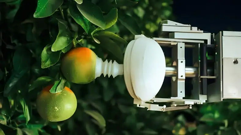 Robotic arm with rounded white gripper reaching toward ripe citrus fruit hanging on a leafy green tree
